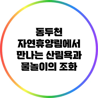동두천 자연휴양림에서 만나는 산림욕과 물놀이의 조화