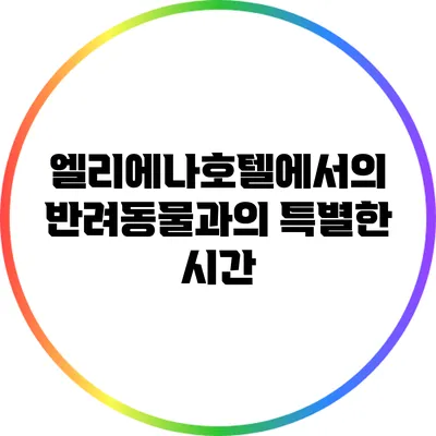 엘리에나호텔에서의 반려동물과의 특별한 시간