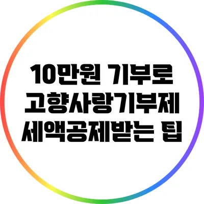 10만원 기부로 고향사랑기부제 세액공제받는 팁