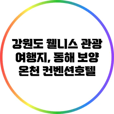 강원도 웰니스 관광 여행지, 동해 보양 온천 컨벤션호텔