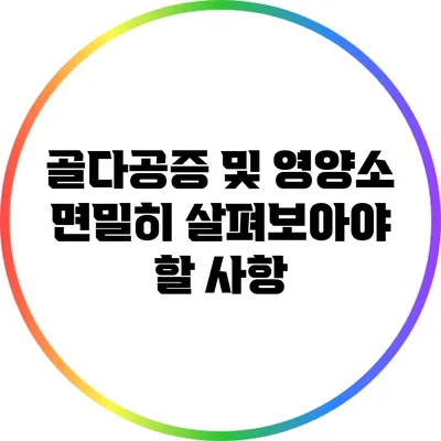 골다공증 및 영양소: 면밀히 살펴보아야 할 사항