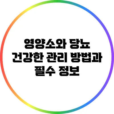 영양소와 당뇨: 건강한 관리 방법과 필수 정보