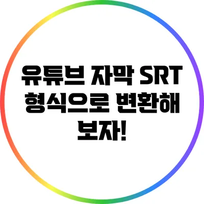 유튜브 자막 SRT 형식으로 변환해 보자!