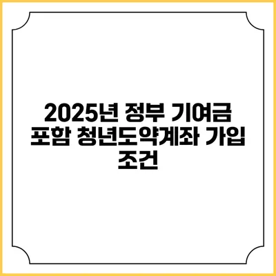 2025년 정부 기여금 포함 청년도약계좌 가입 조건