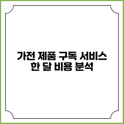 가전 제품 구독 서비스 한 달 비용 분석