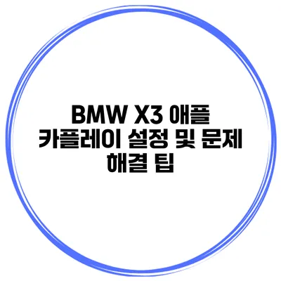 BMW X3 애플 카플레이 설정 및 문제 해결 팁