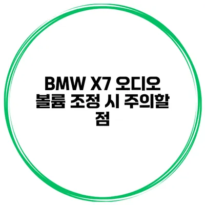 BMW X7 오디오 볼륨 조정 시 주의할 점