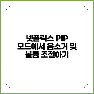 넷플릭스 PIP 모드에서 음소거 및 볼륨 조절하기