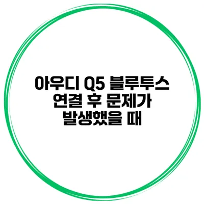아우디 Q5 블루투스 연결 후 문제가 발생했을 때