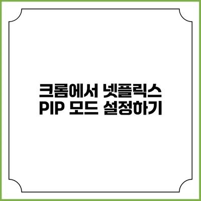 크롬에서 넷플릭스 PIP 모드 설정하기